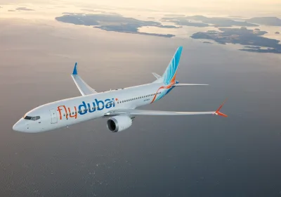 Неисправность самолета flydubai: задержка рейса из Внуково